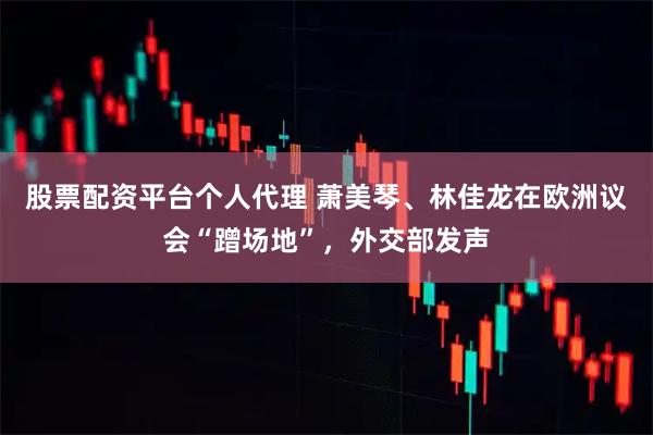 股票配资平台个人代理 萧美琴、林佳龙在欧洲议会“蹭场地”，外交部发声