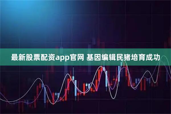 最新股票配资app官网 基因编辑民猪培育成功
