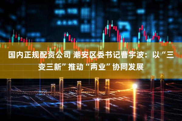 国内正规配资公司 潮安区委书记曹宇波：以“三变三新”推动“两业”协同发展