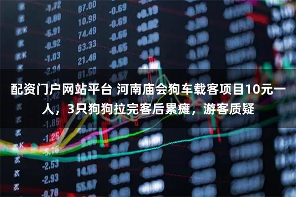 配资门户网站平台 河南庙会狗车载客项目10元一人，3只狗狗拉完客后累瘫，游客质疑